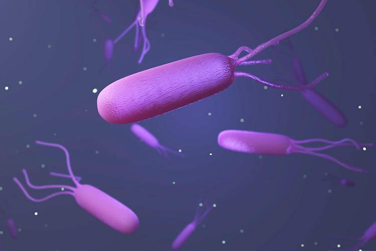 ピロリ菌検査画像